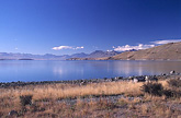 Lake Tekapo